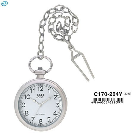 Наручные часы q&q   c170-204y rus