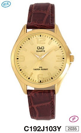 Наручные часы q&q   c192j103y rus