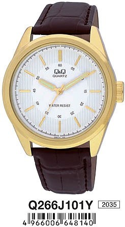 Наручные часы q&q   q266j101y rus