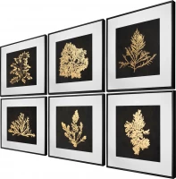 Картины Tomas Stern 87068