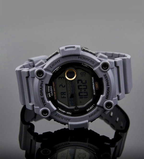 Наручные часы ws-1300h-8a