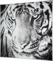 Картины Tomas Stern 87020