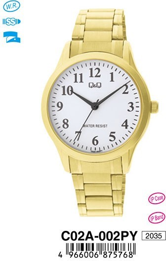 Наручные часы q&q   c02a-002p