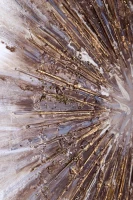 Картины tomas stern 85005