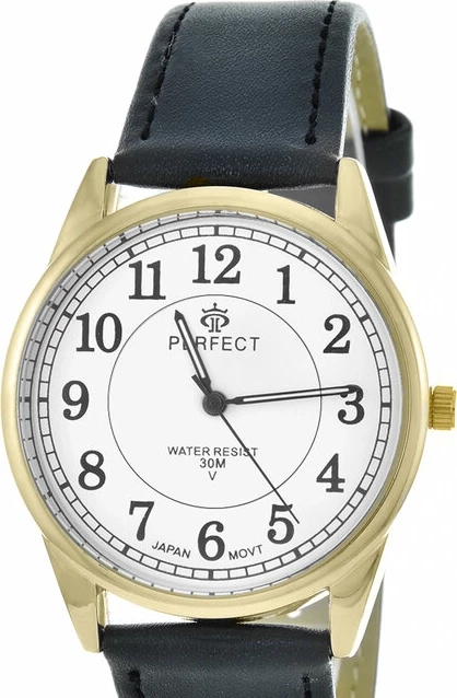Наручные часы perfect gx-017-455-11 big