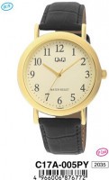 Наручные часы q&amp;q   c17a-005p