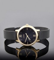 Наручные часы ltp-e157mgb-1b