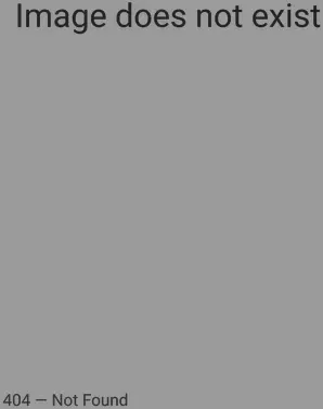 Наручные часы skmei 1737si silver